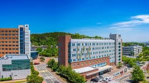 Bachelor of Electro-Mechanical Systems Engineering at Korea University - image 1